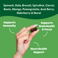 thumbnail image 4 of Feel Great Super Greens Gummies - Green Superfoods Supplement with Spinach, Broccoli, Kale, Beet Root, Elderberry for Immunity Support - Fruit and Vegetable Supplement - Watermelon Flavor, 60 Gummies, 4 of 9