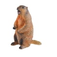 thumbnail image 4 of Modelo de marmota Figura Juguetes cognitivos Simulación de discapacidad en miniatura Descripción de escritorio -Origination Educación para niñas para niñas Niños Niños, 4 of 8