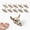 C003- C, variant on Mini Halloween Figurines, Mini Skulls, Skeleton Toys, Summerween Creature Collection, Realistic Carved Bone Texture, Gothic Centerpiece Party Favors