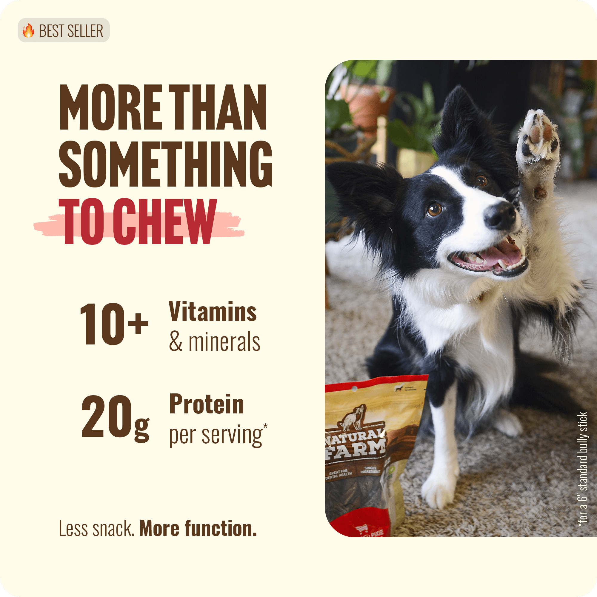 Natural Farm Extra-Thin Bully Sticks for Dogs, 10 Inch, 12 Pack