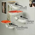 thumbnail image 4 of 3PCS Mushroom Shelf Wall Floating Shelf Decor Shelves for Bedroom, Living Room, Bathroom and More, 4 of 5