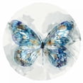 thumbnail image 3 of Selkirk, Edward 20x20 Black Modern Framed Museum Art Print Titled - Indigo Butterfly III, 3 of 5
