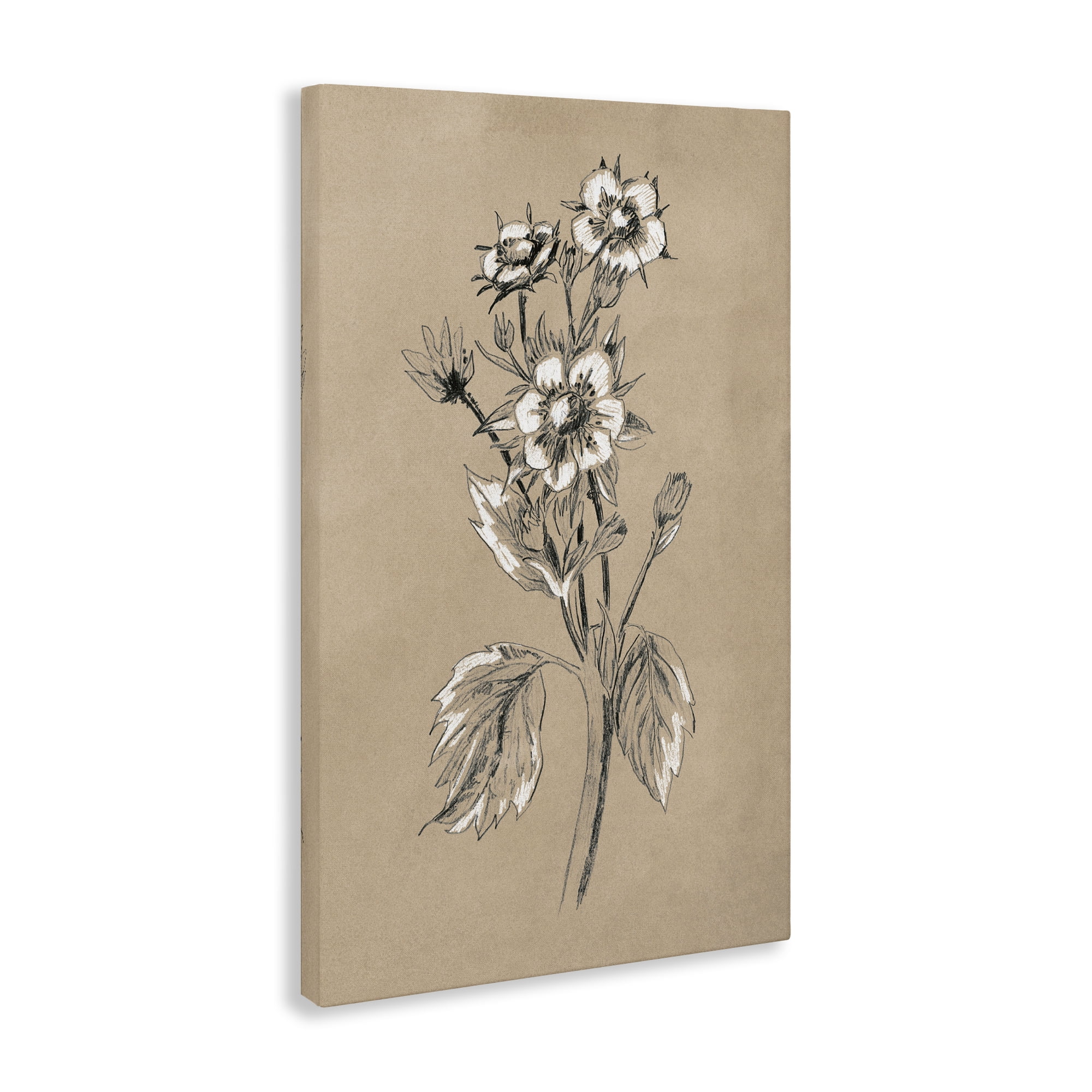 Stupell Industries Apple Blossom Drawing Botanical & Floral Drawing Gallery Wrapped Canvas Art Print Wall Art, 20 x 30
