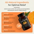 thumbnail image 3 of UpWellness Golden Revive + Joint Support Supplement Featuring Turmeric with Black Pepper, Quercetin, and Magnesium - 6 Active Ingredients - 60 Capsules, 3 Pack, 3 of 7