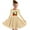 Khaki-6, variant on Odeerbi Toddler Girls Skater Twirl A-Line Dress Long Sleeve Pleated Dancing Dress Spring Fall Christmas Dress 4-14 Years Children Christmas Printed Princess Dress Toddler Clothes Khaki
