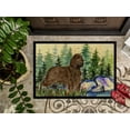 thumbnail image 3 of Carolines Treasures SS8131MAT Paillasson Intérieur Extérieur 18 x 27 Po. Field Spaniel, 3 of 4