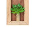 thumbnail image 4 of Simulation Potted Succulent Decorative Beautiful High Quality Wall Hanging Potted Simulation Succulent, 4 of 4