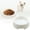 B, variant on Lightweight Small Round Pet Bowl Set - Affordable Feeding Dishes for Cats and Dogs in Blue and White