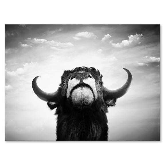 Black and White Portrait Of A Spanish Bull I 8 in x 12 in Painting Canvas Art Print, by Designart