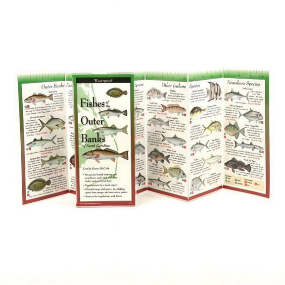 FoldingGuides: Fishes of the Outer Banks of NC (Other)