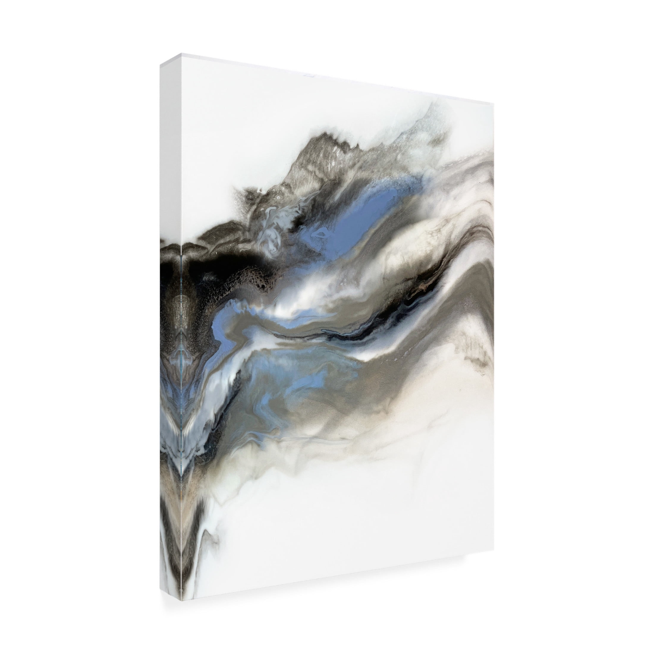 Trademark Fine Art Alyson Storms Grey Smoke 1 Canvas Wall Art