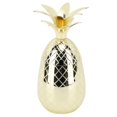 thumbnail image 1 of Vaso Para Bebidas ANGGREK Con Tapa De Piña 500ml Acero Inoxidable, 1 of 8