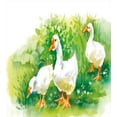 thumbnail image 3 of Ambesonne Duck Duvet Cover Set, Goose Farm Lake Plants, 2-Calking, Green and White, 3 of 7