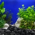 thumbnail image 4 of WHAMVOX 1Jgo De Para Acuario Duradera Y Accesorio Para De Peces, 4 of 7