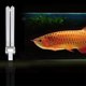 thumbnail image 2 of 2pcs 11W Ultraviolet UV Disinfection Light Lamps UV Sterilization Light Bulbs for Sterilizer Fish Tank (G23 Lamp Base), 2 of 5