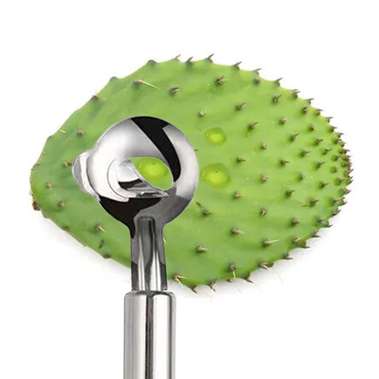 Oalirro Stainless Steel Cactus Thorn Removal Tool - Multi-Purpose Kitchen  Knife for Cutting Noodles & Cactus Spines - Rust-Proof, Easy Clean (7in) -  Household & Gardening Essential Tool - Walmart.com