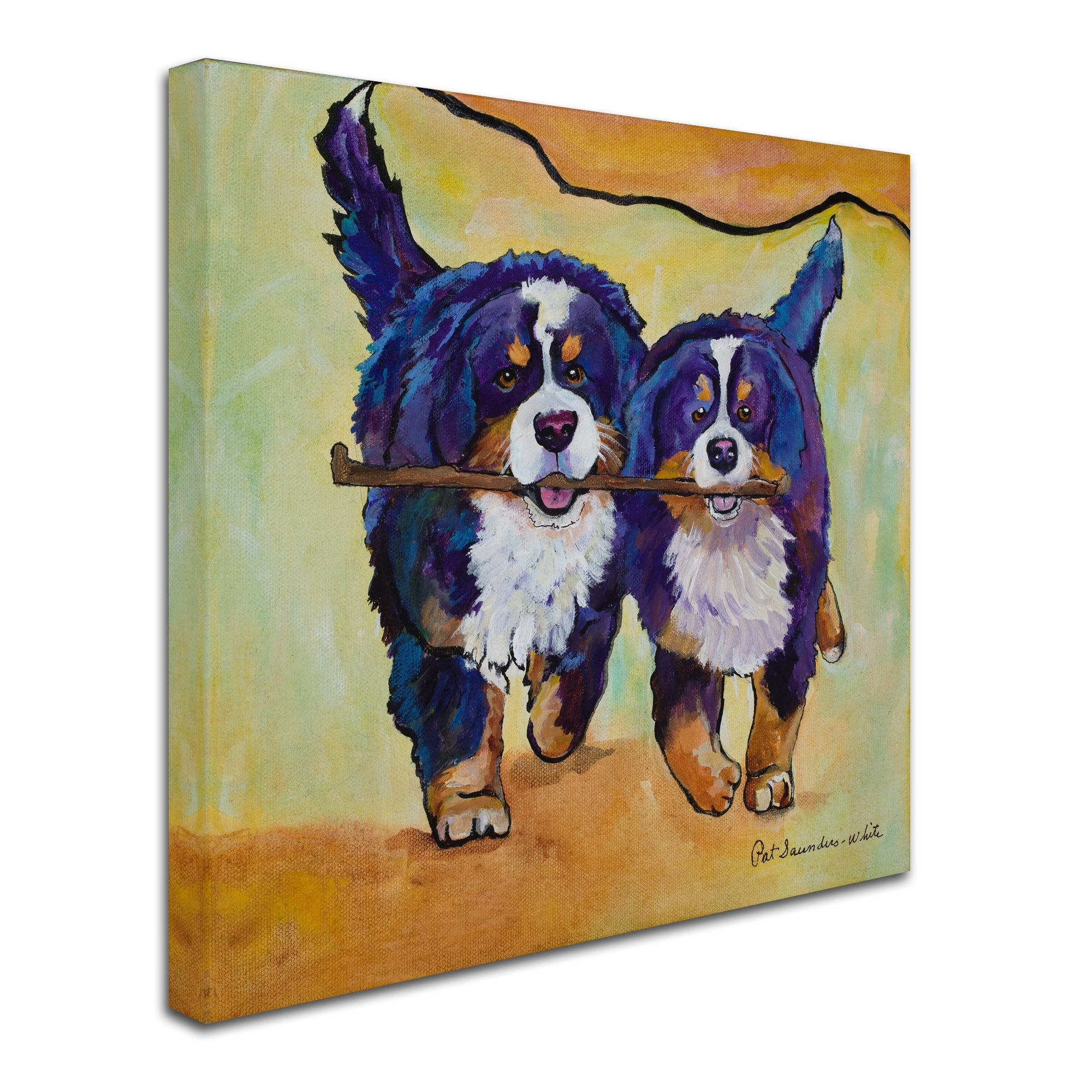 Trademark Fine Art 'Stick Together' Canvas Art by Pat Saunders-White
