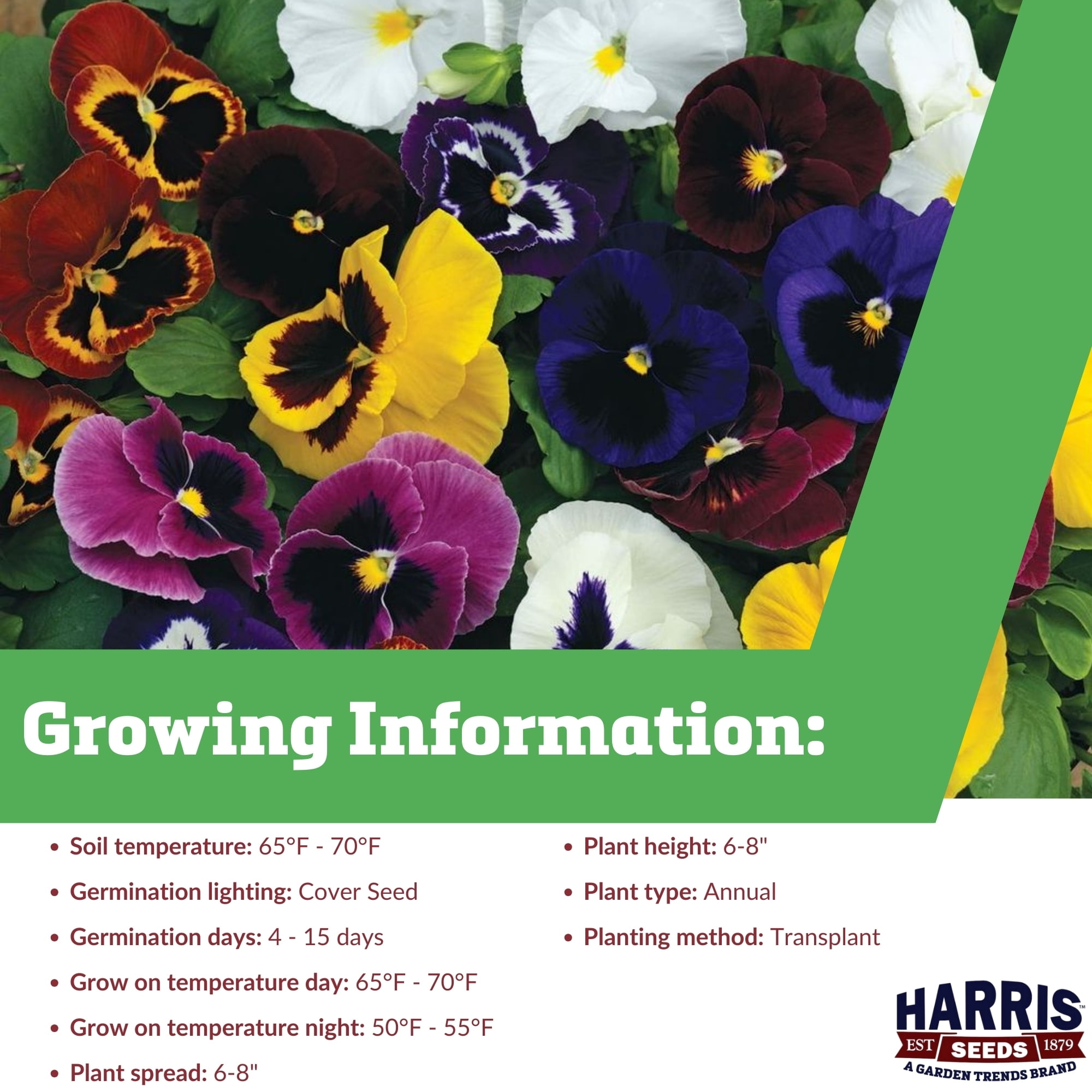 Harris Seeds Pansy Mammoth Mix Seeds - Thumbnail 3