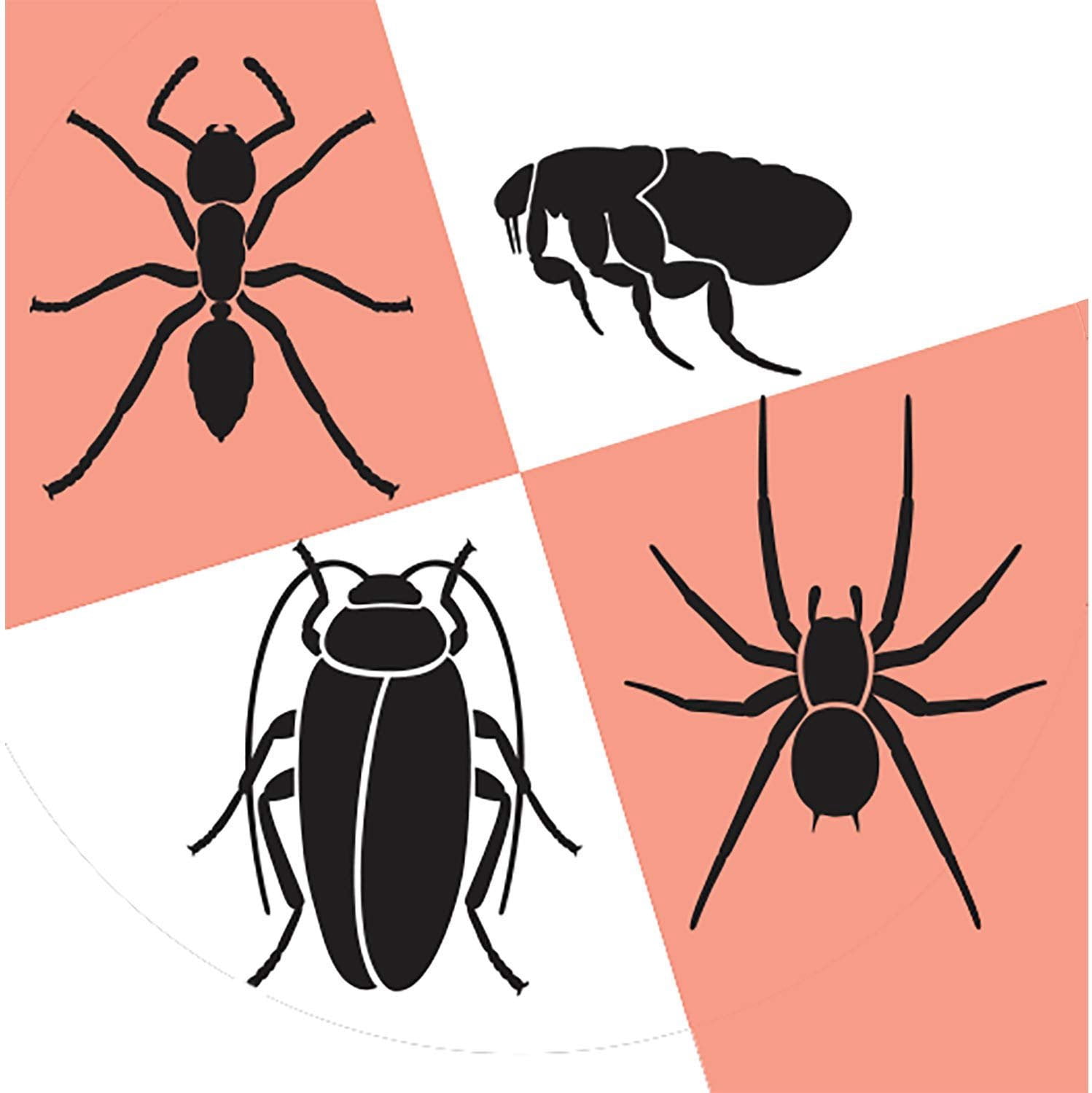 TAT Pest Control Spray HG-31112 - Insecticide for Ants, Indoor Use - 1 Pack