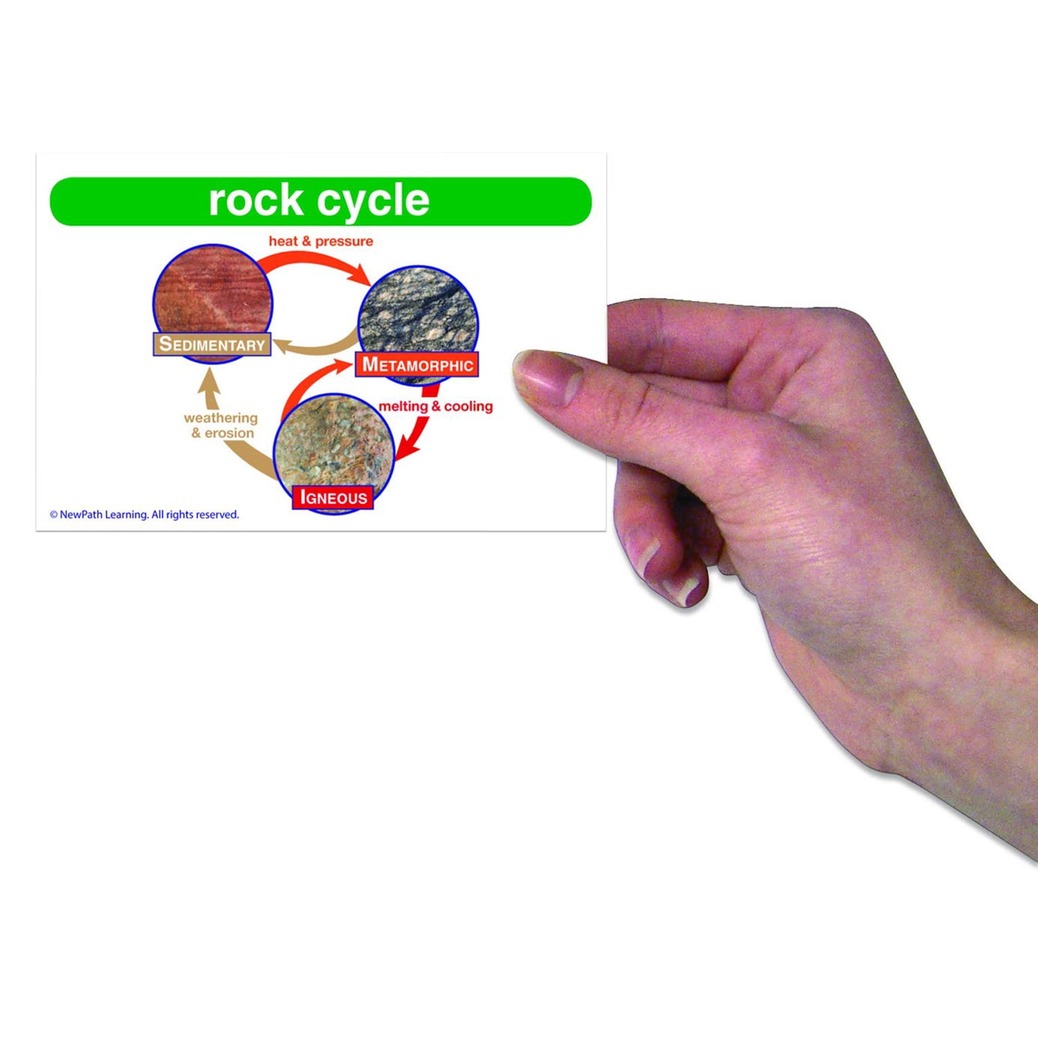 NewPath Learning Science Vocabulary Builder Flash Card Set, Grades 1-2