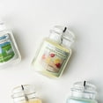 thumbnail image 4 of Yankee Candle Long-Lasting Automotive Air Fresheners, Glass Multicolor, 4 Count, 4 of 4