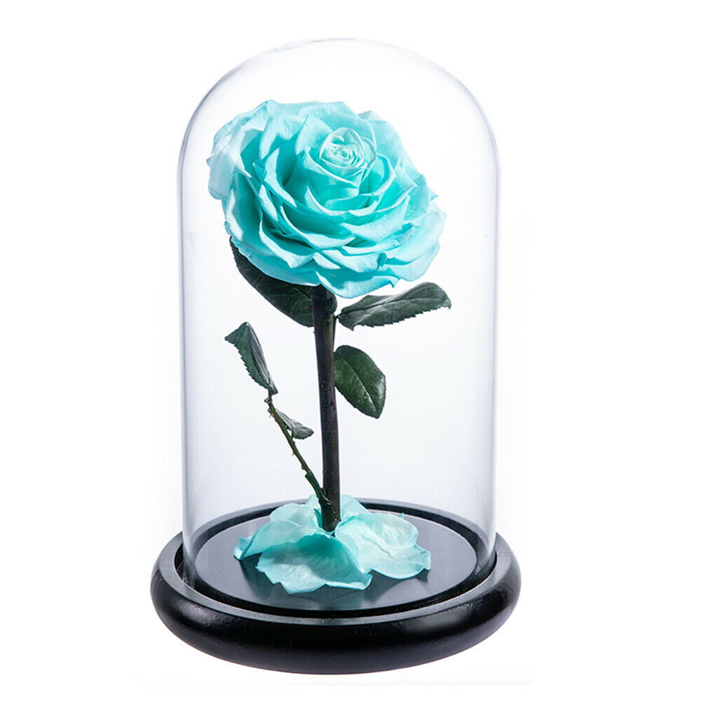Multi Colour Forever Immortal Rose Flower In Glass Wedding Decor Festival Gift 