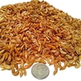 thumbnail image 3 of Gammarus Shrimp--Freeze Dried. Great for All Tropical Fish, Marine Fish, Cichlids, Carnivores, Discus, Coldwater Fish, Goldfish, Koi, Turtles Even Birds and Reptiles...2oz Small Jar, 3 of 3