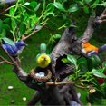 thumbnail image 1 of Figuritas de pájaros artificiales de resina, decoración del hogar, jardín, decoraciones de pájaros de resina para el hogar, modelo de animales de resina, adornos, Mini jardín, 3 uds., 1 of 5