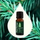 thumbnail image 3 of Árbol de Navidad con aceite esencial Plant Therapy, 10 ml (1/3 fl.oz), 3 of 8