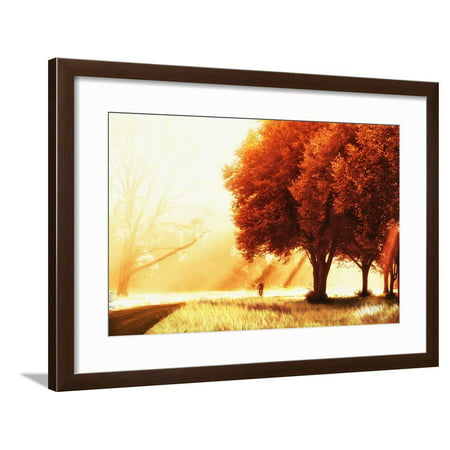 The Best Daily Route Framed Print Wall Art By Lars Van de (Best Wood For Routing)