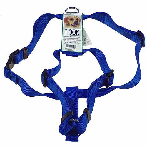 PETMATE 22108 1x2836 Blue Dog Harness
