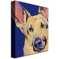 thumbnail image 2 of Trademark Art "Freida" Canvas Wall Art by Pat Saunders-White, 2 of 2
