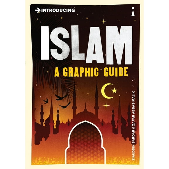 Graphic Guides: Introducing Islam : A Graphic Guide (Paperback)