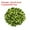 Light Green, variant on Loose Sequins 6MM Silver Backed Sequins 2400Pcs Embroidery Sequins for Jewelry Making Crafts Sewing,Champagne Color