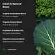 thumbnail image 5 of Super Greens Powder NutraChamps Premium Superfood 250 ml, 5 of 8