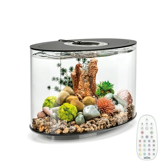 biOrb LOOP 15 Aquarium with MCR Light - 4 Gallon, Black