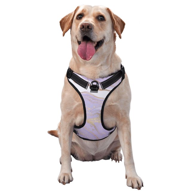Balery Lavender Glitter Foil Stripes Arnés para Perros Grandes Antitirones, Arnés con Correa para Gato, Arnés Tipo Chaleco para Perros Pequeños-Medium