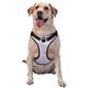thumbnail image 1 of Fotbe Lavender Glitter Foil Stripes Arnés para Perro con Estampado –Chaleco Ajustable Acolchado con Asa de Control para Perros Grandes-Large, 1 of 6