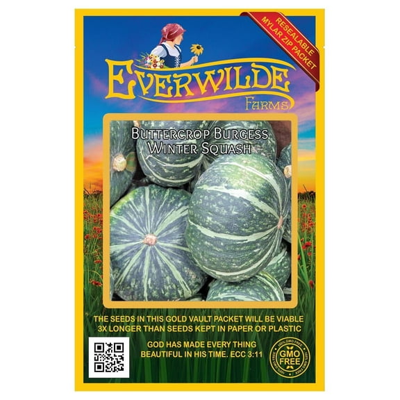 Everwilde Farms - 40 Buttercrop Winter Squash Seeds - Gold Vault Seed Packet
