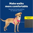 thumbnail image 3 of Arnés para perros PetSafe Easy Walk Comfort No-Pull, rosa, X-Small, 3 of 8