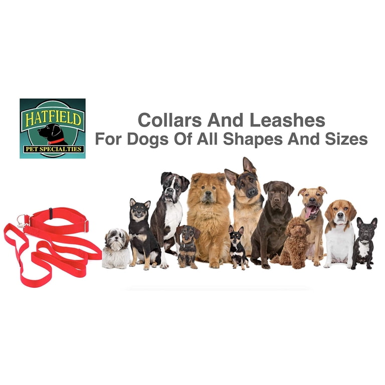 Metal Extra Large Safety Dog Collar, Red photo 6