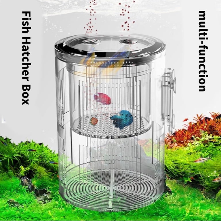 clear floating box for fish tank FishTank Separation Breeder Box Clear Floating Breeding Isolation Boxes  Aquarium Hatchery Incubator