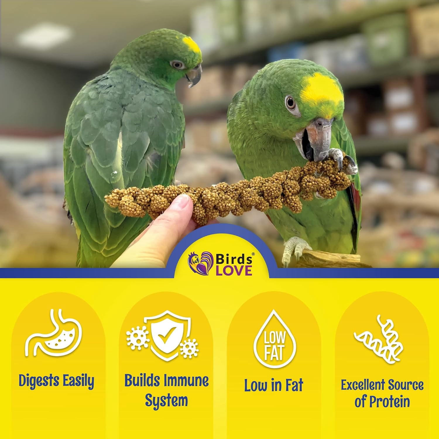 Birds LOVE Economy & Special Spray Millet for Birds, No Stems Non-GMO Sun-Dried Edible Millet Tops for Cockatiels, Lovebirds, Parakeets, Finches & Canaries, 2 lb