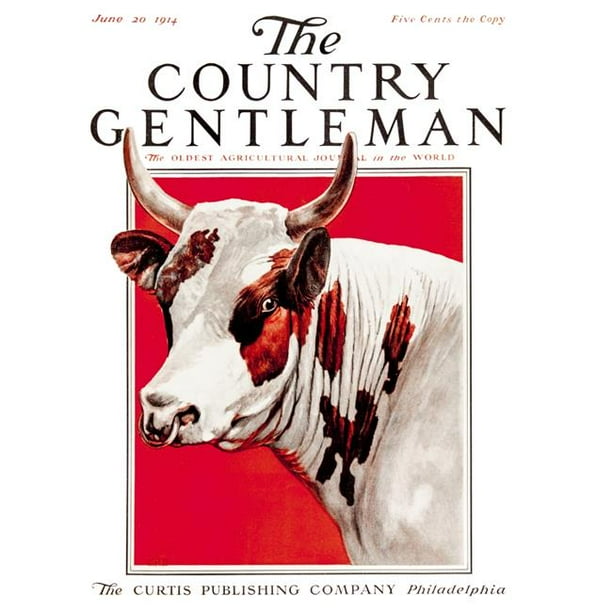 Posterazzi DPI12272510 Couverture du Magazine Agricole Country Gentleman du Début du 20ème Siècle Affiche Imprimée - 13 x 17 Po.