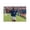 Unframe-style, variant on Roberto Baggio Italy Athletes Poster Football Canvas Wall Art Poster Decorative Bedroom Modern Home Print Picture Artworks Posters 08x12inch(20x30cm)
