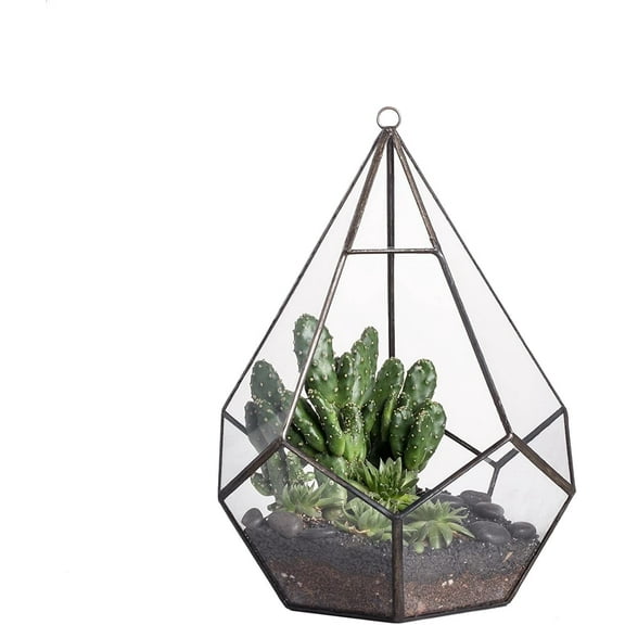 NCYP Hanging Glass Geometric Terrarium for Succulent - 6.8" x 6.8" x 8.6" Indoor Teardrop Shape Plants Planter, Tabletop Decorative Centerpiece, Black Container, Opening, Handmade (No Plants)