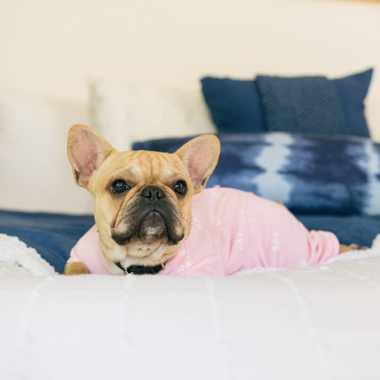Gap Pet, Dog Clothes, Pink Logo Print Pet Pajama 