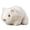 White, variant on SPOORYYO Realistic Guinea Pig Toy, Super Soft Stuffed Animal with Lifelike Detail for Cuddling, Bedtime Comfort, Room Decor and Gift