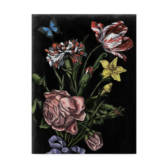 Trademark Fine Art 'Dark Floral IV' Canvas Art by Naomi McCavitt