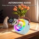thumbnail image 1 of Wireless Speaker Portable Stable BT Connection Karaoke Speaker with Dual Microphone, 1 of 5